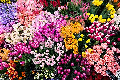 《疯狂被诅咒老太太之家》steam发售 恐怖探索之旅